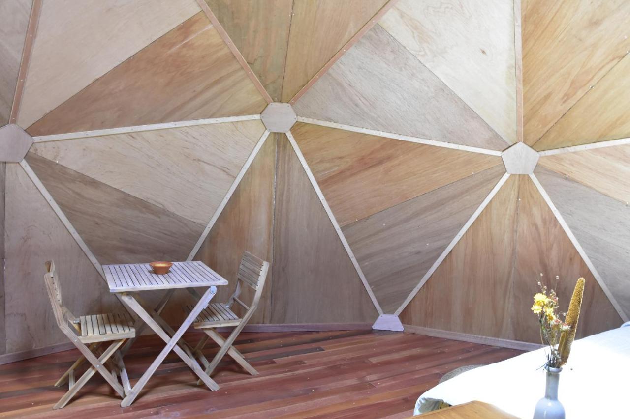 Les Insolites Du Domaine D'Haulme ภายนอก รูปภาพ
